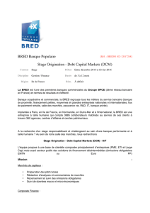 BRED Banque Populaire Stage Origination - Debt