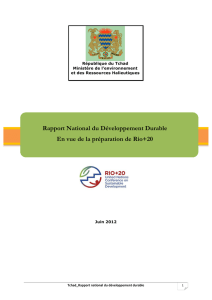 Rapport National du Développement Durable en vue