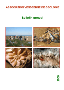 AVG.Bulletin 2008 - Association Vendéenne de Géologie