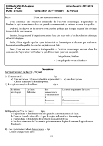 Questions Compréhension de l`écrit : (13 pts)