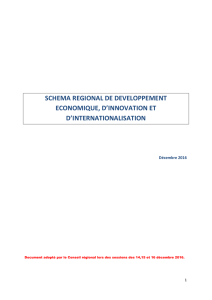 schéma régional de développement économique, d`innovation et d