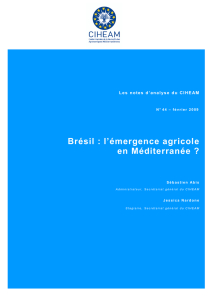 Brésil : l`émergence agricole en Méditerranée