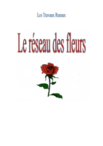 Les archives : TR -suite- Le Réseau des Fleurs