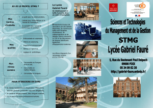 Plaquette STMG - Lycée Gabriel fauré - Foix