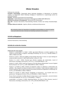 CV Olivier DROULERS - IGR-IAE Rennes
