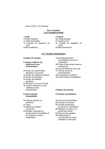 Cours 4 (STS, J.-M. Schwab) Plan comptable 1 et 2 Comptes