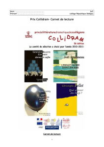 Collidram-Carnet de lecture.odt
