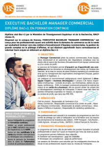 executive bachelor manager commercial