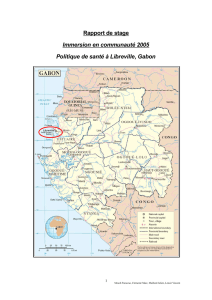 Rapport de stage Immersion en communauté 2005 Politique de