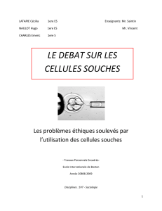 le debat sur les cellules souches