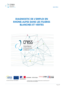 201666161639_diagnostic emploi vf - CRESS Rhône