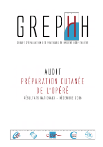 Rapport de l`audit