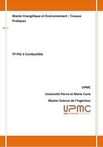 TP Pile à Combustible - energie-environnement