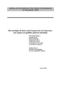 Des strat&eacute;gies de lutte contre la pauvret&eacute; au Cameroun