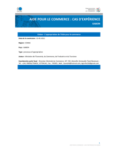 aide pour le commerce : cas d`expérience