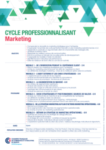 CYCLE PROFESSIONNALISANT Marketing