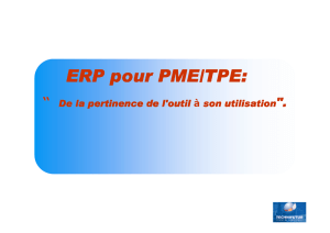 ERP pour PME/TPE: de la pertinence de l`outil à son utilisation