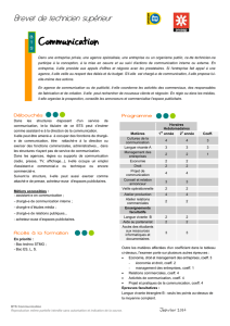 Communication (PDF - 457.3 ko) - CIO