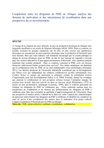 Coopération entre les dirigeants de PME en Afrique: analyse des