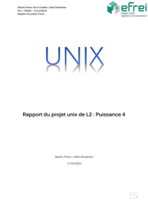 2014-15.projet.puissance4.rapport.unix2016-11-07