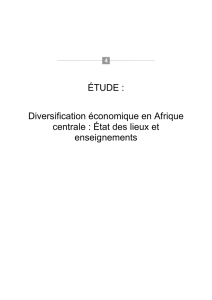 Diversification économique en Afrique centrale : État des lieux et