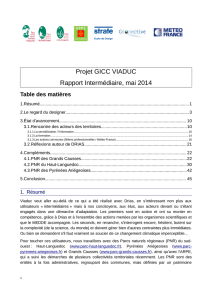 Projet GICC VIADUC Rapport Intermédiaire, mai 2014 - GIP