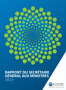 rapport du secrétaire général aux ministres 2015