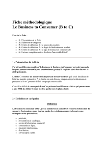 Le Business to Consumer (B to C) - LOMAG