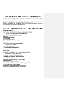 plan du theme 1 - TI