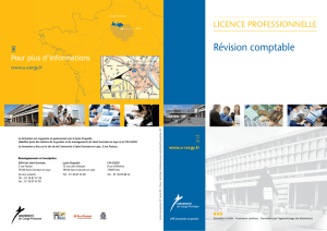 r&eacute;vision comptable - Universit&eacute; de Cergy