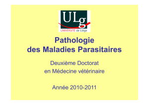 Pathologie des Maladies Parasitaires