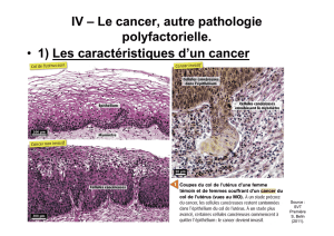 IV – 1\) Caractéristiques cancer