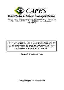 Rapport provisoire revu Ouagadougou, octobre 2007 LE