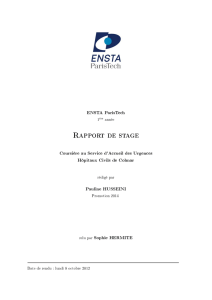 Rapport de stage - ENSTA ParisTech