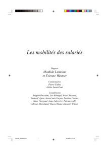 Les mobilités des salariés - La Documentation française