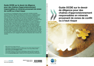 Guide OCDE sur le devoir de diligence pour des chaînes d