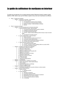 Guide du cultivateur de marijuana en intrieur