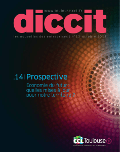 diccit - CCI de Toulouse