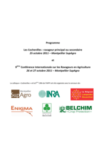Programme détaillé Cochenilles + CIRA 2011
