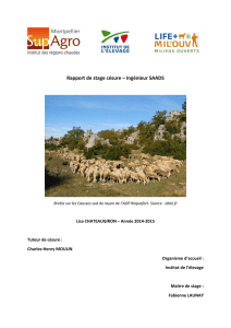 Rapport stage cesure CHATEAUGIRON