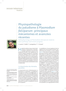 Physiopathologie du paludisme à Plasmodium falciparum