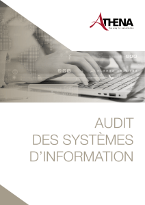 audit des systèmes d`information