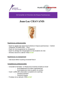 Jean-Luc CHAVANIS - Université de Cergy