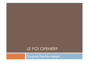 PGI OpenERP - Présentation
