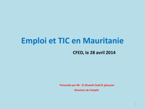 État des lieux de l`emploi dans le secteur des TIC en Mauritanie