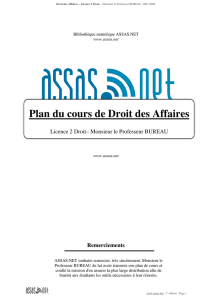 Plan du cours de Droit des Affaires