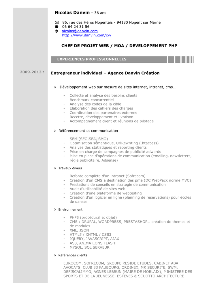 Curriculum vitae template picture