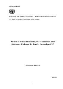 Assister la douane Tunisienne pour se connecter &agrave; une