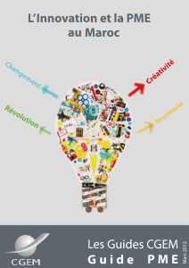 Innovation et la PME au Maroc