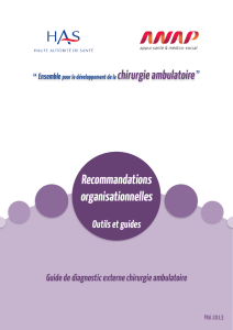 Recommandations organisationnelles : guide de diagnostic externe